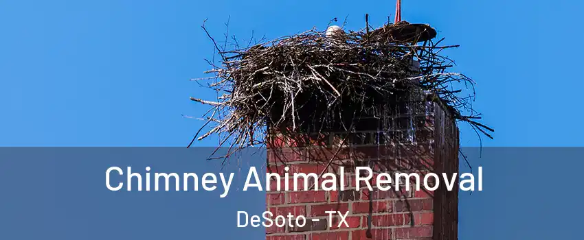  Chimney Animal Removal DeSoto - TX