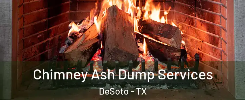  Chimney Ash Dump Services DeSoto - TX