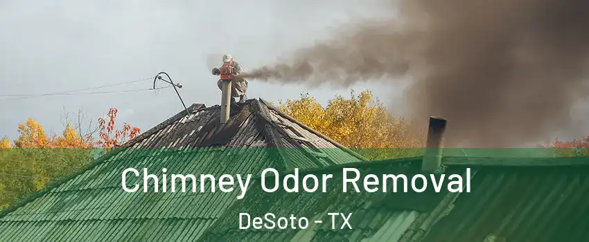  Chimney Odor Removal DeSoto - TX