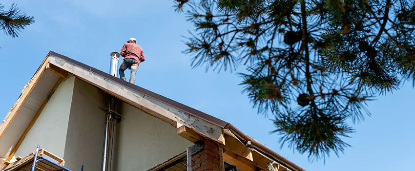 Birds Removal Contractors from Chimney in DeSoto, TX