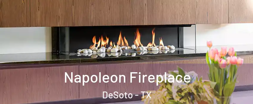  Napoleon Fireplace DeSoto - TX